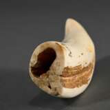 Scrimshaw "Oriole" mit "Spermwhale" und "Humpback" Darstellungen, 19.Jh., beschnitzter Walzahn mit geschwärztem Ritzdekor, L. 11,5cm, 127g - photo 3