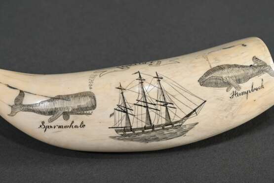 Scrimshaw "Oriole" mit "Spermwhale" und "Humpback" Darstellungen, 19.Jh., beschnitzter Walzahn mit geschwärztem Ritzdekor, L. 11,5cm, 127g - photo 4