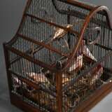 Altes Vogelbauer mit geschweifter Dachkonstruktion, dunkel gebeiztes Holz mit Metallstäben, darin diverse Gablonzer Glas Vögel, 19.Jh., 36x33x22,5cm - photo 3