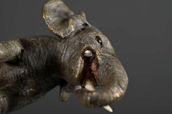 Wiener Bronze "Elefant", farbig gefasst, Bauch gestempelt, 4,3x7,8x3,3cm, 1 Bein Stoßzahn verloren - photo 5