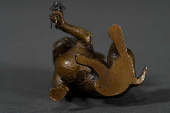 Bronze Miniatur "Sitzende Bulldogge mit Maikäfer auf der Pfote", H. 5,2cm, min. verbogen - photo 5