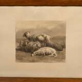 Brissot de Warville, Félix Saturnin (1818-1892) "Ruhende Schafe" 1862, Tusche, u.l. monogr./dat., BM 18,2x21,7cm (m.R. 36x50,5cm) - photo 2