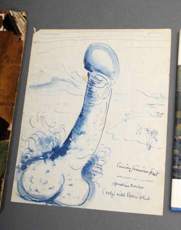 John, Augustus (1878-1961) "Curious Jamaican Fruit/ Spunkius Erectus/ (vulg.) wild Poker-plant", 25,3x20,7cm, Knickspuren, kleine Defekte, als Geschenk an seinen Leibarzt Dr. K.C. Precope in den 1950er Jahren, … - photo 4