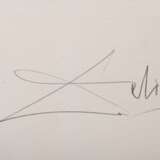 Dali, Salvador (1904-1989) "Der Widerspenstigen Zähmung" 1970, Farbradierung, 238/250, u. sign./num., aus: "Viel Lärm um Shakespeare", PM 17,5x12,5cm, BM 40x30cm, leicht fleckig - photo 3