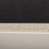 Werkmeister, Wolfgang (*1941) "Angler" 1986, Farbradierung, XVI/XXV, u. sign./num./dat./betit., WVZ 339, PM 31,3x43,8cm (m.R. 58x71,3cm) - Foto 3