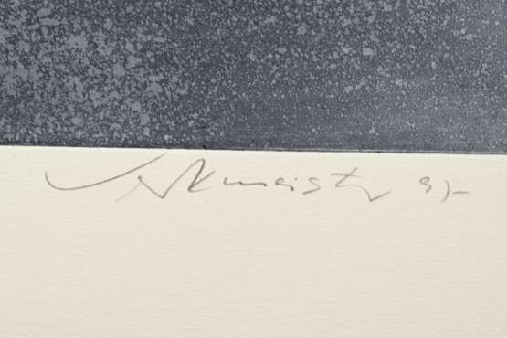 Werkmeister, Wolfgang (*1941) "Großes Sandwatt" 1997, Radierung, 14/85, u. sign./dat./bez./betit., WVZ 499, PM 38,7x57,5cm, BM 60x79cm - photo 3