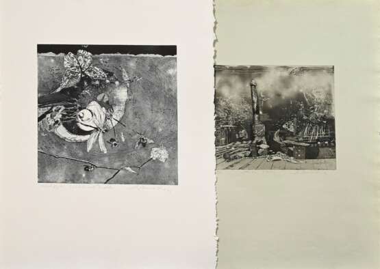 2 Werkmeister, Wolfgang (*1941) "Atlantis" 1972, 9/35, II. Fassung und "Stilleben mit Insekten" 1973, Radierungen, e.a., je u. sign./dat./bez./betit., WVZ 96a/125, PM 24,7x29,3/32,7x32,7cm, BM 64x51/6… - photo 1