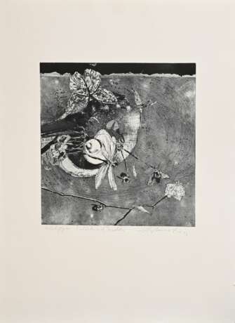 2 Werkmeister, Wolfgang (*1941) "Atlantis" 1972, 9/35, II. Fassung und "Stilleben mit Insekten" 1973, Radierungen, e.a., je u. sign./dat./bez./betit., WVZ 96a/125, PM 24,7x29,3/32,7x32,7cm, BM 64x51/6… - photo 2