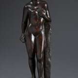 Fueter, Max (1898-1983) "Stehender Akt an Stele", Bronze patiniert, a.d. Plinthe monogr., H. 22cm, leichte Altersspuren - Foto 1