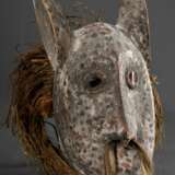Zoomorphe Lega Maske mit langen Ohren, Flaschenglas Augen und Basthaaren, Reste von farbiger Bemalung, DR Kongo, H. 35cm, Gebrauchspatina, Provenienz: Sammlung Schleswig-Holstein - photo 1