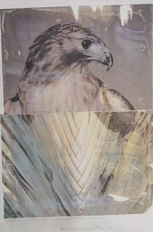 Robert Rauschenberg (Port Arthur 1925 - Captiva Island 2008). Nature from Tribute 21. - photo 1