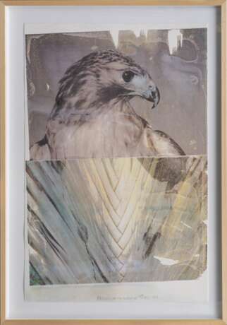 Robert Rauschenberg (Port Arthur 1925 - Captiva Island 2008). Nature from Tribute 21. - photo 2