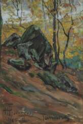 Hans Peter Feddersen (Westerschnatebüll 1848 - Kleiseerkoog 1941). Felsen im Taunus.