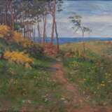 Elisabeth Büchsel (Stralsund 1867 - Stralsund 1957). Blick auf die Ostsee. - photo 1