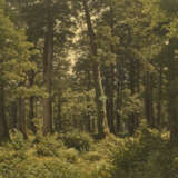 ROBERT Z&#220;ND (LUCERNE 1827-1909) - photo 1