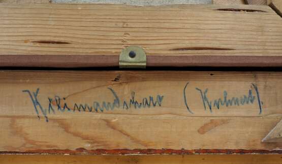 Kuhnert, Friedrich Wilhelm Carl (1865-1926): Wasserbüffel in der Savanne. - Foto 6