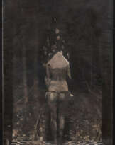 Nicola Samorì. False Forest