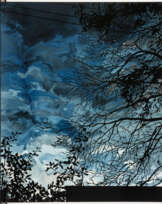 Sven Drühl. S.D.N.N.II