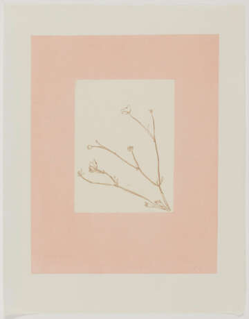 Thomas Schütte. Sweet Nothings - photo 4