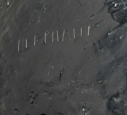 Fiona Banner. Elephant - photo 2