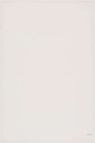 Andy Warhol. Campbell's Soup I (Chicken Noodle) - photo 2