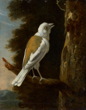 MELCHIOR D`HONDECOETER (UTRECHT 1636-1695 AMSTERDAM) - фото 1