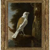 MELCHIOR D`HONDECOETER (UTRECHT 1636-1695 AMSTERDAM) - фото 2