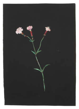 MARY DELANY, NÉE GRANVILLE (ENGLISH 1700-1788) - фото 2