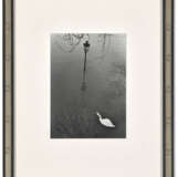ANDRÉ KERTÉSZ (1894-1985) - photo 1