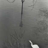 ANDRÉ KERTÉSZ (1894-1985) - photo 2