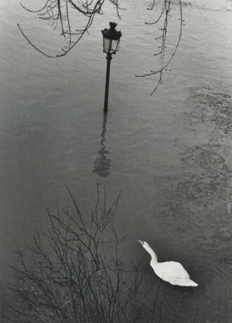 ANDRÉ KERTÉSZ (1894-1985) - photo 2