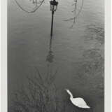 ANDRÉ KERTÉSZ (1894-1985) - photo 3