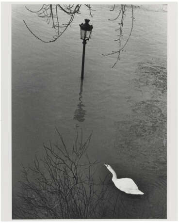 ANDRÉ KERTÉSZ (1894-1985) - photo 3