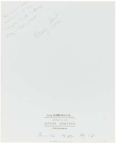 ANDRÉ KERTÉSZ (1894-1985) - photo 4