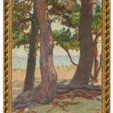 Théo van Rysselberghe (1862-1926) - фото 4