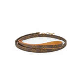 Louis Vuitton. Dog leash and collar - фото 5