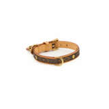 Louis Vuitton. Dog leash and collar - фото 12