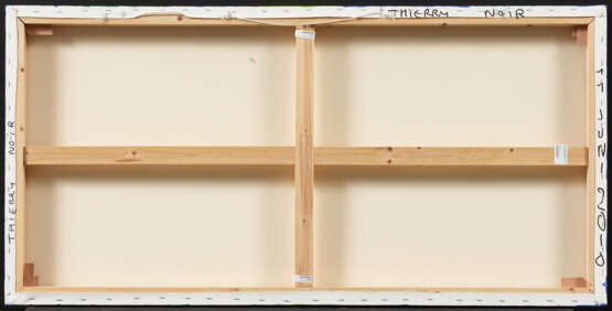 Thierry Noir. Untitled - photo 3
