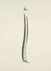 Herman de Vries. i