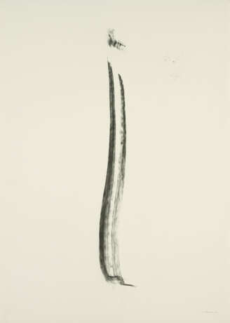 Herman de Vries. i - photo 1