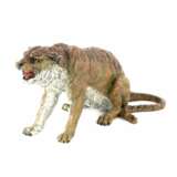 Bronze viennois peint Tigre. painting Early 20th century - Foto 1