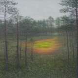 Small Swamp Canvas 21th century - photo 1