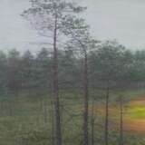 Small Swamp Canvas 21th century - photo 2