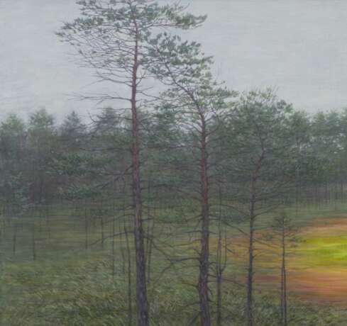 Small Swamp Canvas 21th century - photo 2
