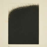 Arnulf Rainer. Wald - photo 1