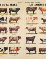 Marcel Broodthaers. Les Animaux de la Ferme