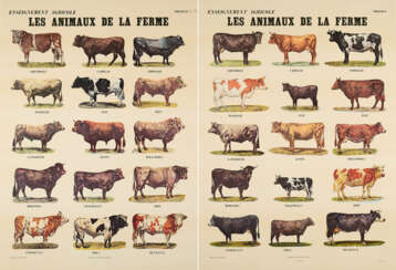 Marcel Broodthaers. Les Animaux de la Ferme