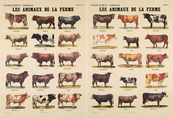 Marcel Broodthaers. Les Animaux de la Ferme - photo 1