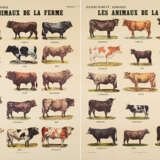Marcel Broodthaers. Les Animaux de la Ferme - photo 1