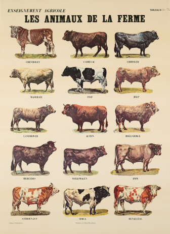 Marcel Broodthaers. Les Animaux de la Ferme - photo 2